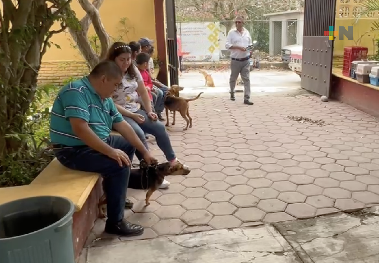 Campañas de esterilización reducen el número de perros callejeros en Martínez de la Torre